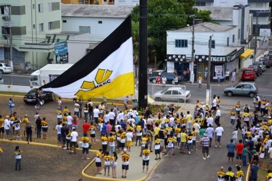Bandeira - Hasteamento - Ana Paula Colombo