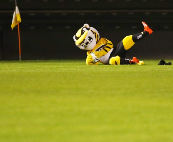 AÇÃO ESPECIAL COM SÓCIOS DO TIGRE