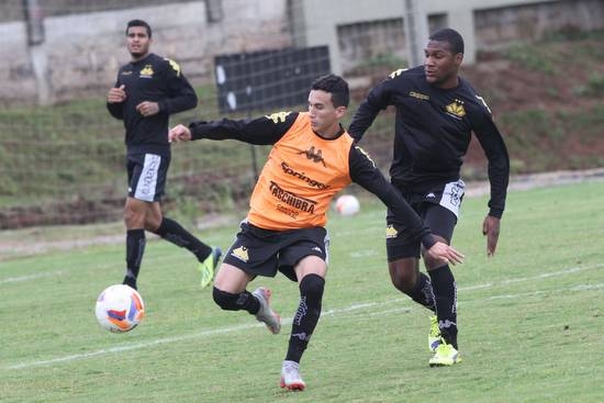 Cavalo comanda trabalho tático