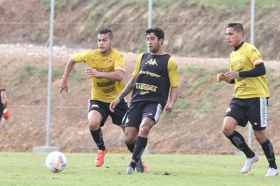 Cavalo comanda trabalho técnico