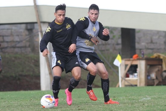 Cavalo comanda treino técnico tático