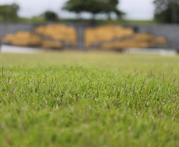 GreenLeaf fará a manutenção dos gramados do Tigre