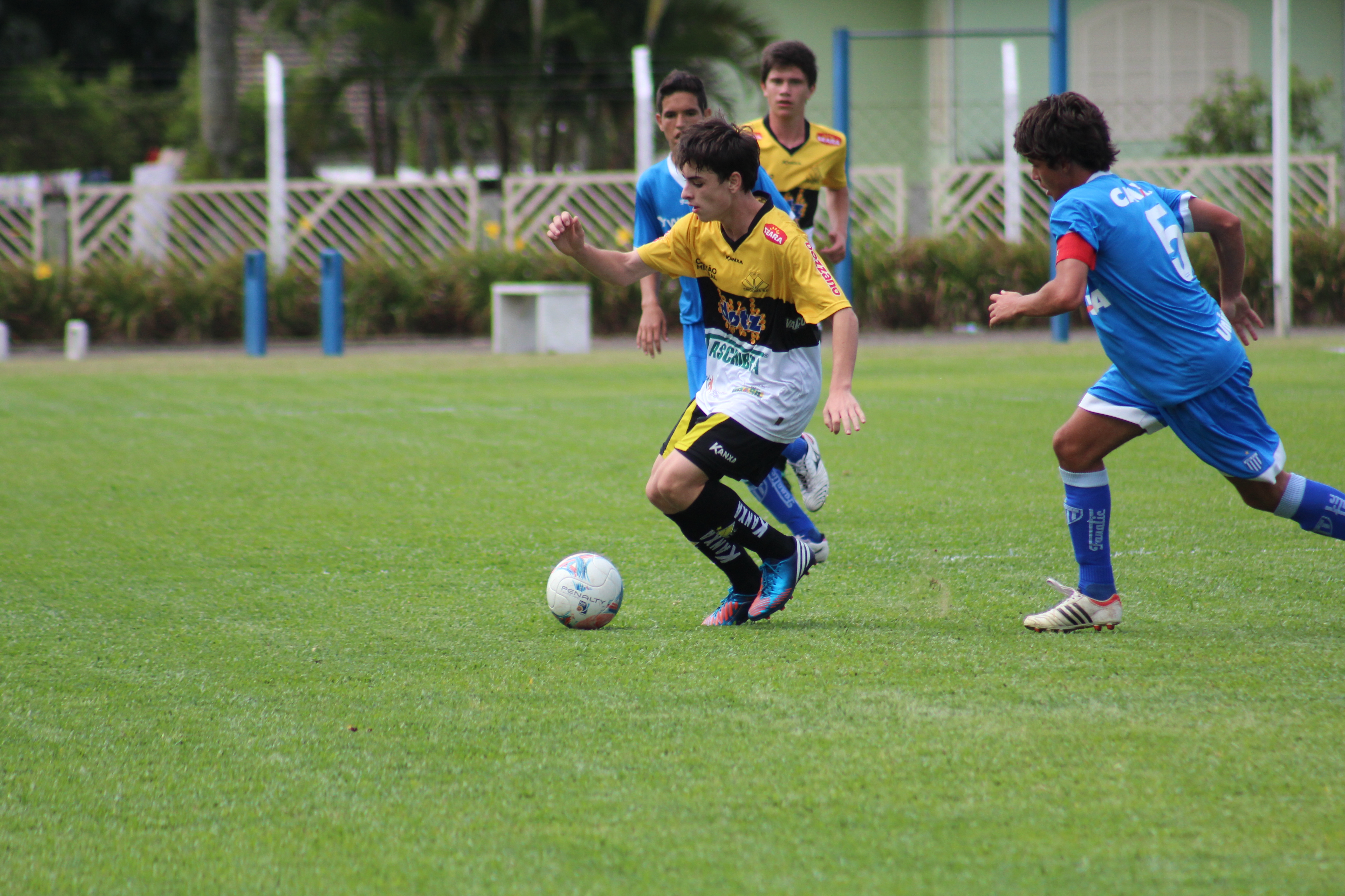 Tigre abre inscrições para avaliação de jovens atletas