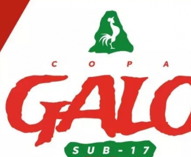 Tigre disputará a 2ª edição da Copa Galo Sub-17  