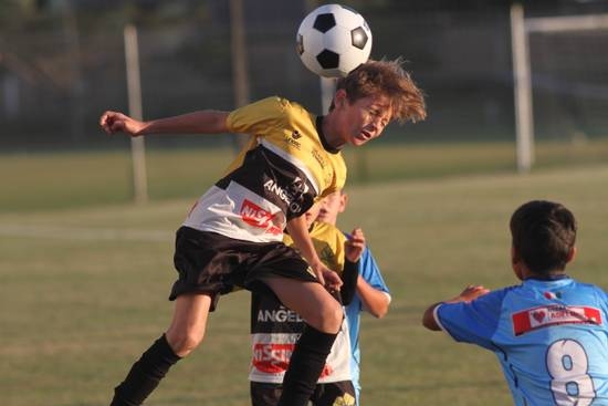Tigre estreia no Regional da LUD