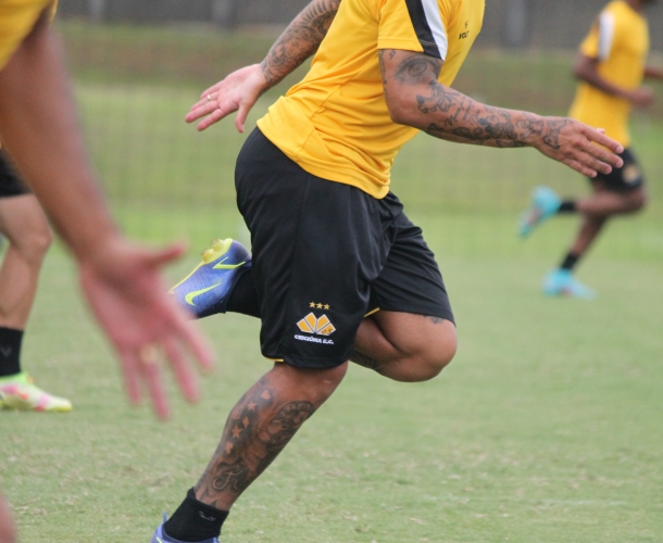 Tigre faz o primeiro treino do ano nesta terça