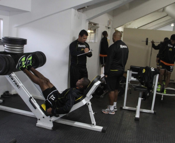 Tigre faz trabalho de força