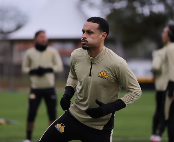 Tigre inicia a preparação para a 15ª rodada