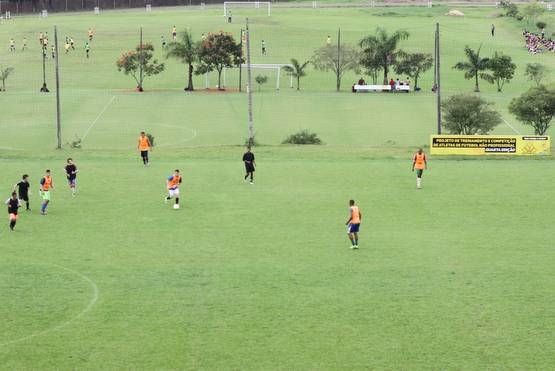 Tigre inicia avaliações na base