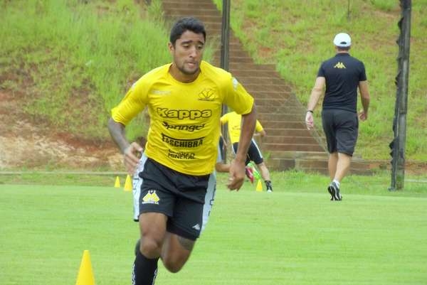 Tigre realiza trabalho físico setorizado 