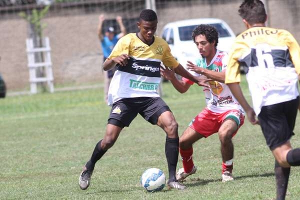 Tigre sedia rodada do Regional 