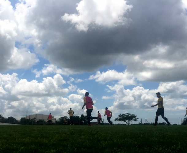 Tigre treina parte tática