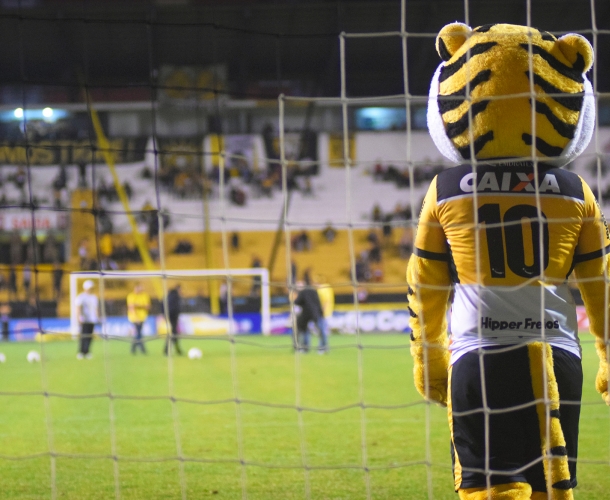 Torcedores participam do Gol do Tigrão