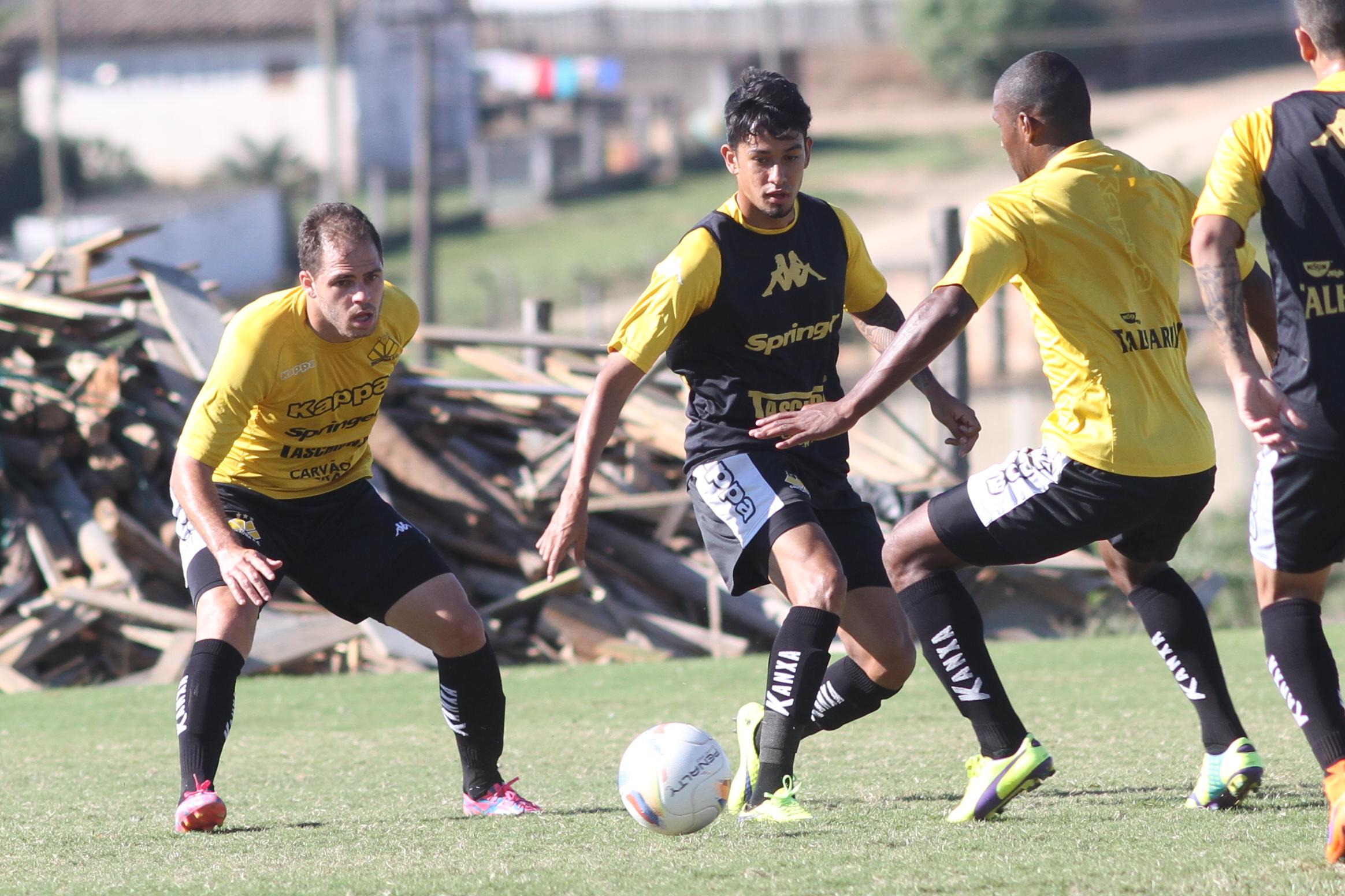 Tigre treina e viaja a São Luís (MA)
