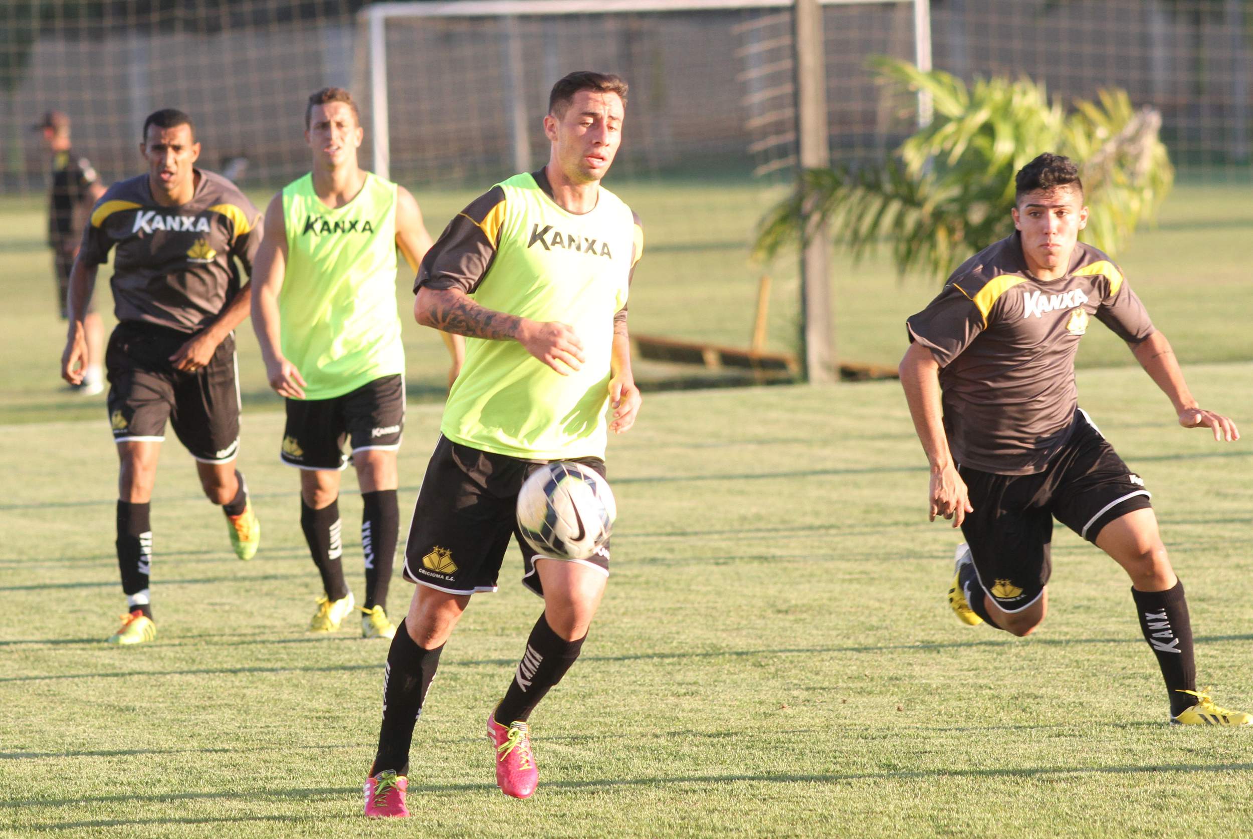 Tigre faz treino coletivo