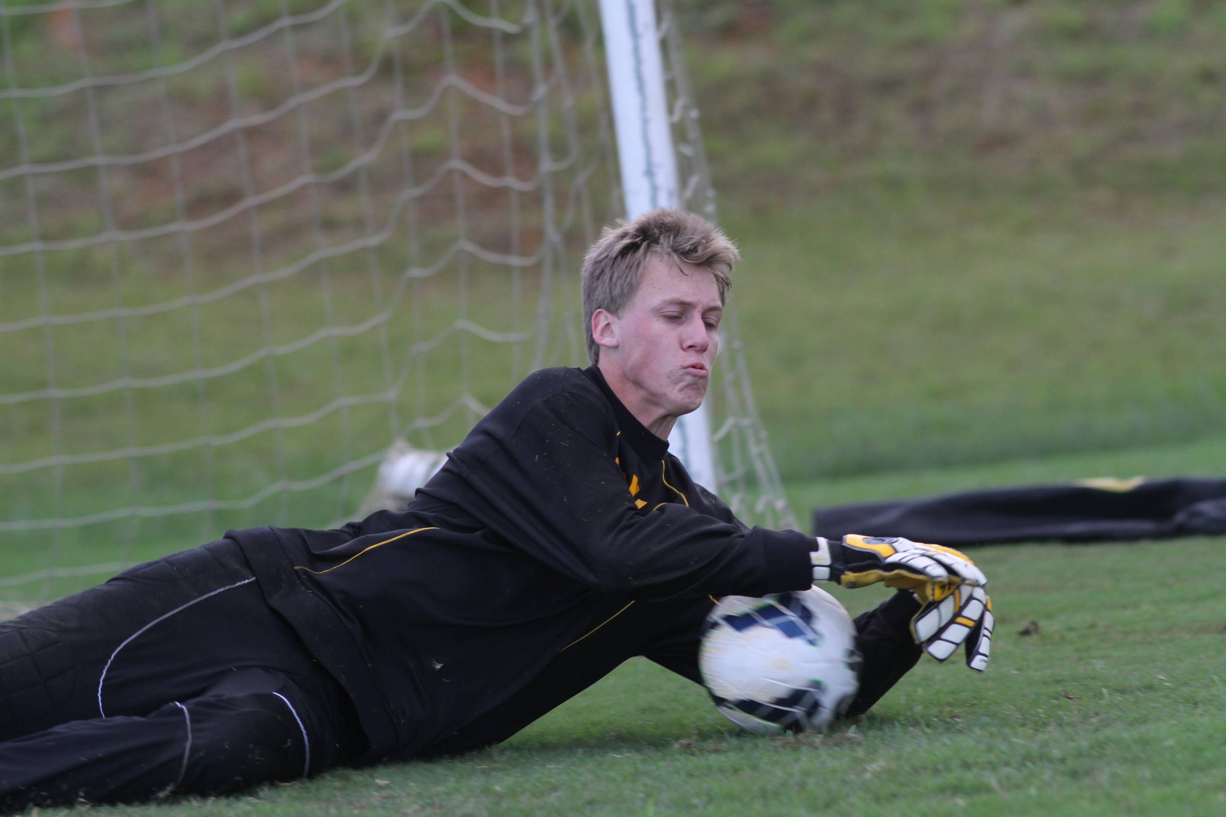 Tigre inicia trabalho com bola