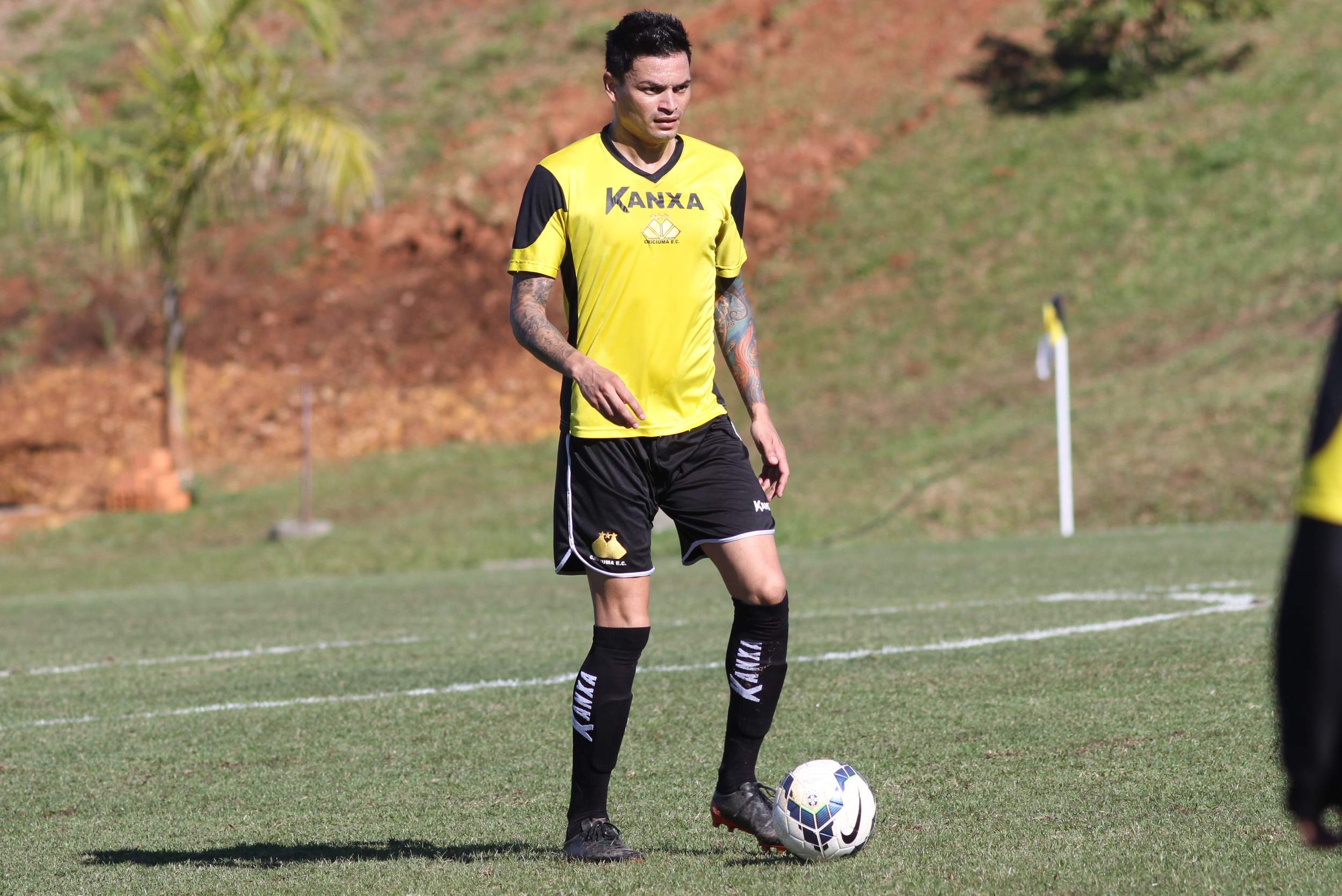 Tigre faz treino tático