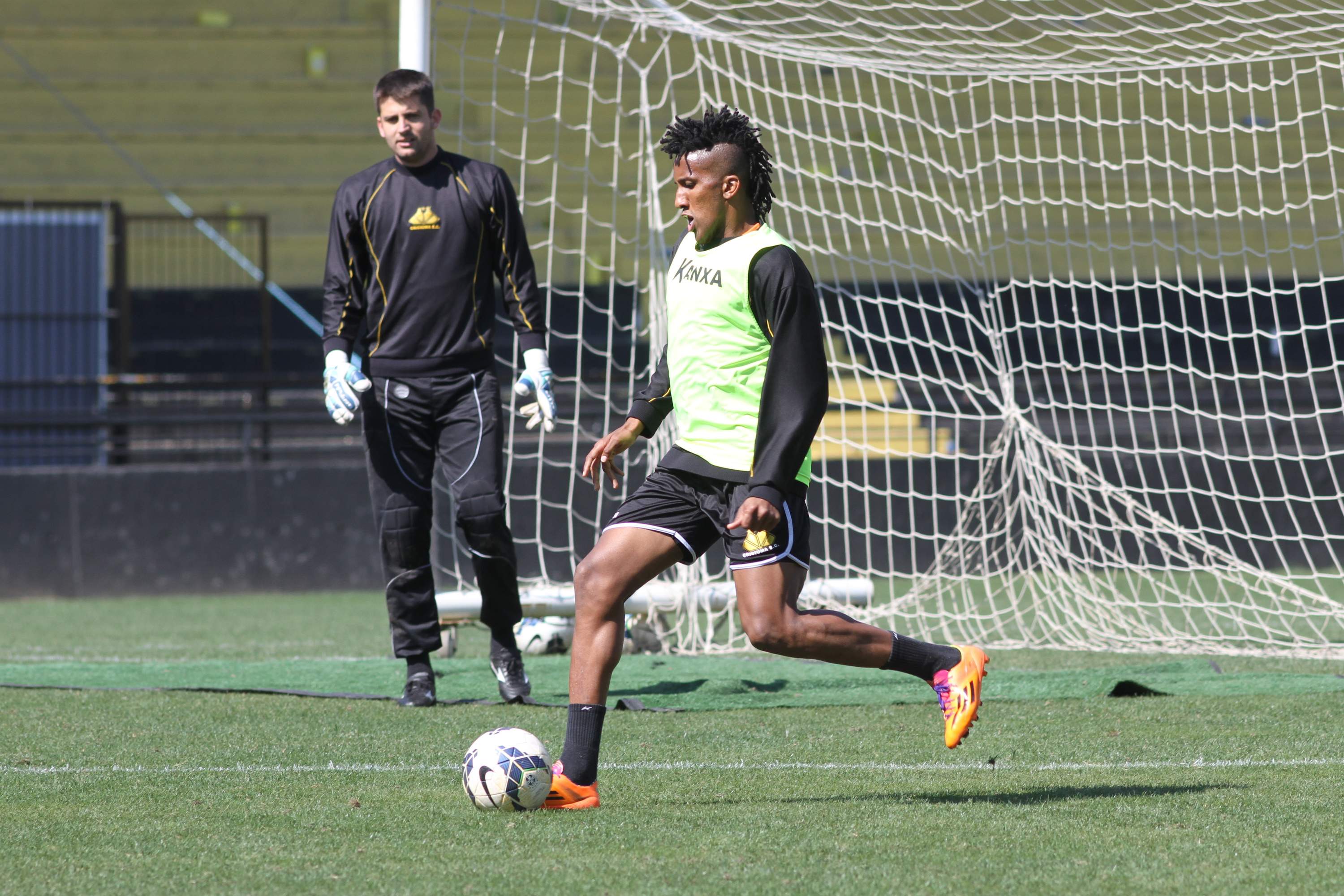 Tigre treina e viaja a Recife
