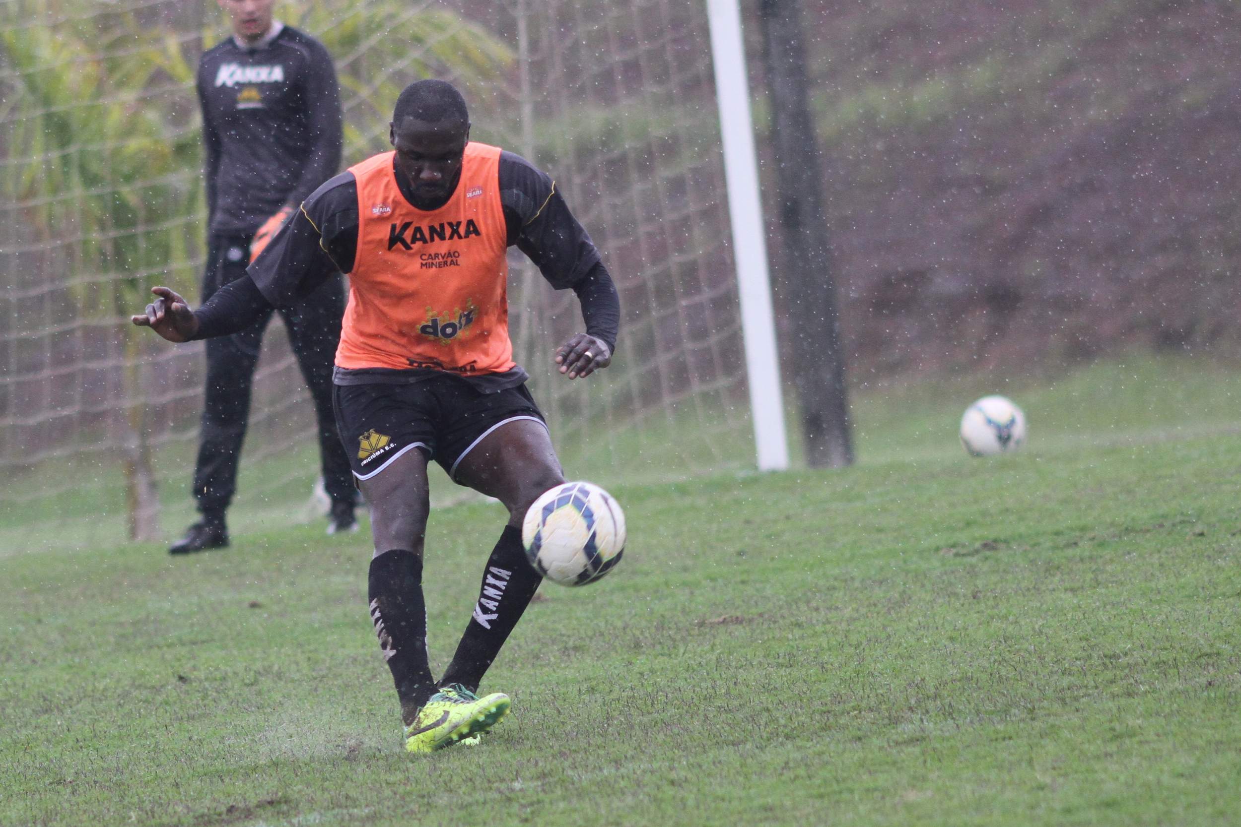 Tigre realiza treino físico e tático