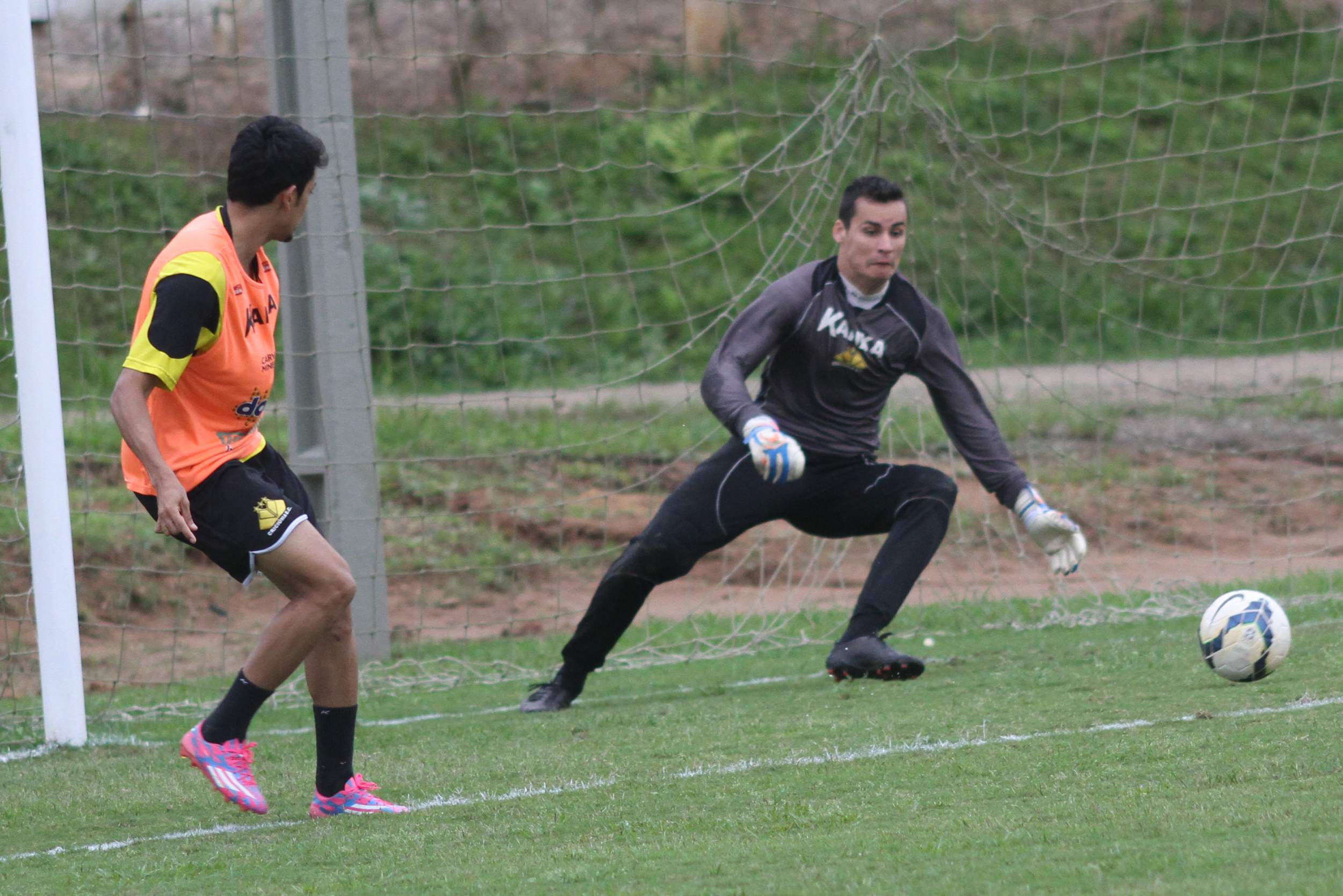 Treino forte na parte tática do Tigre