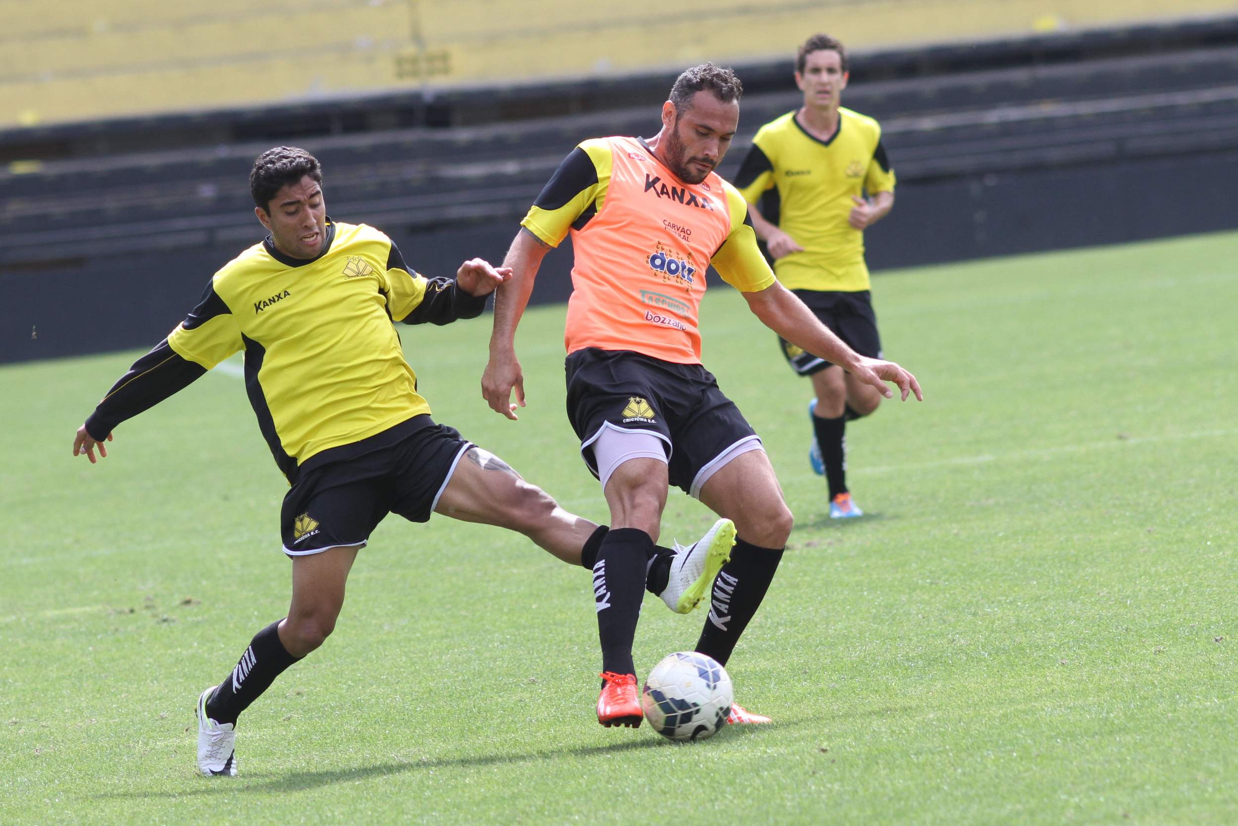 Tigre treina antes de viagem a Curitiba