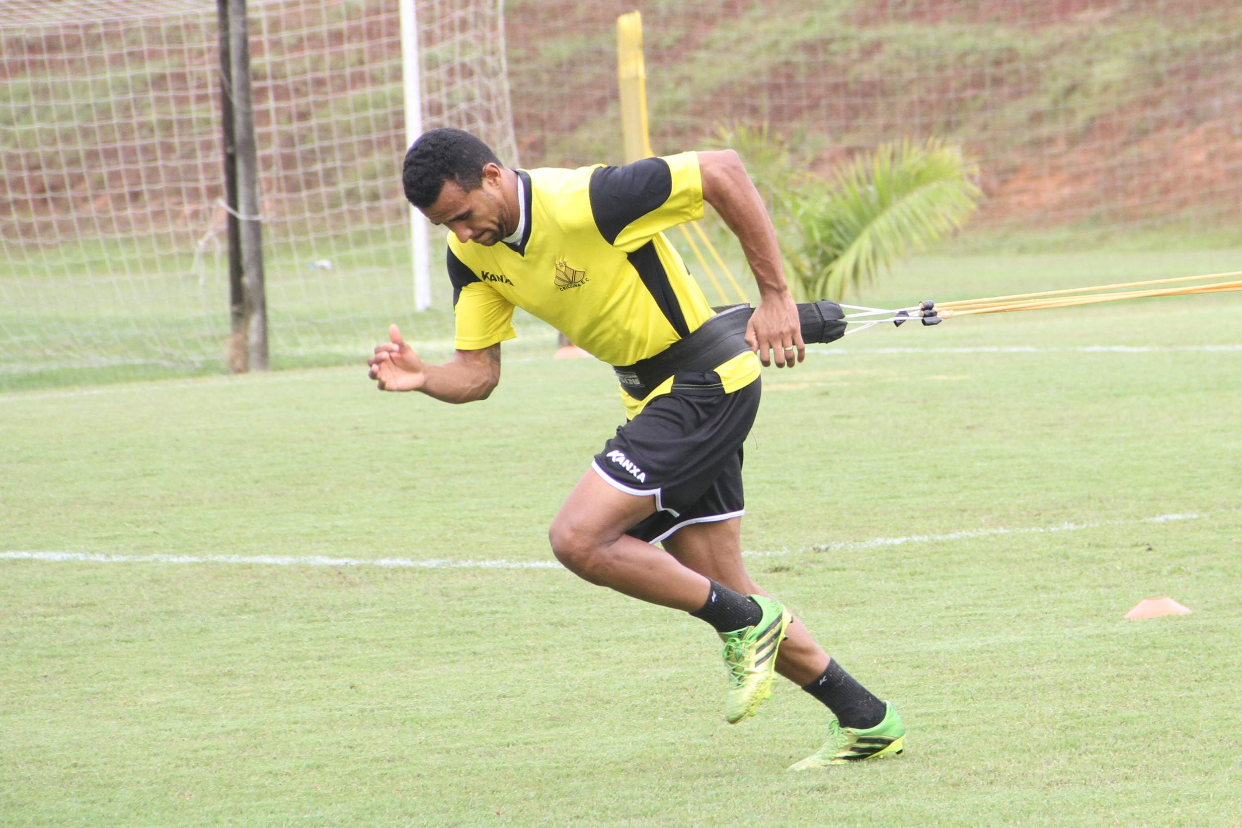 Elenco se reapresenta com trabalhos específicos