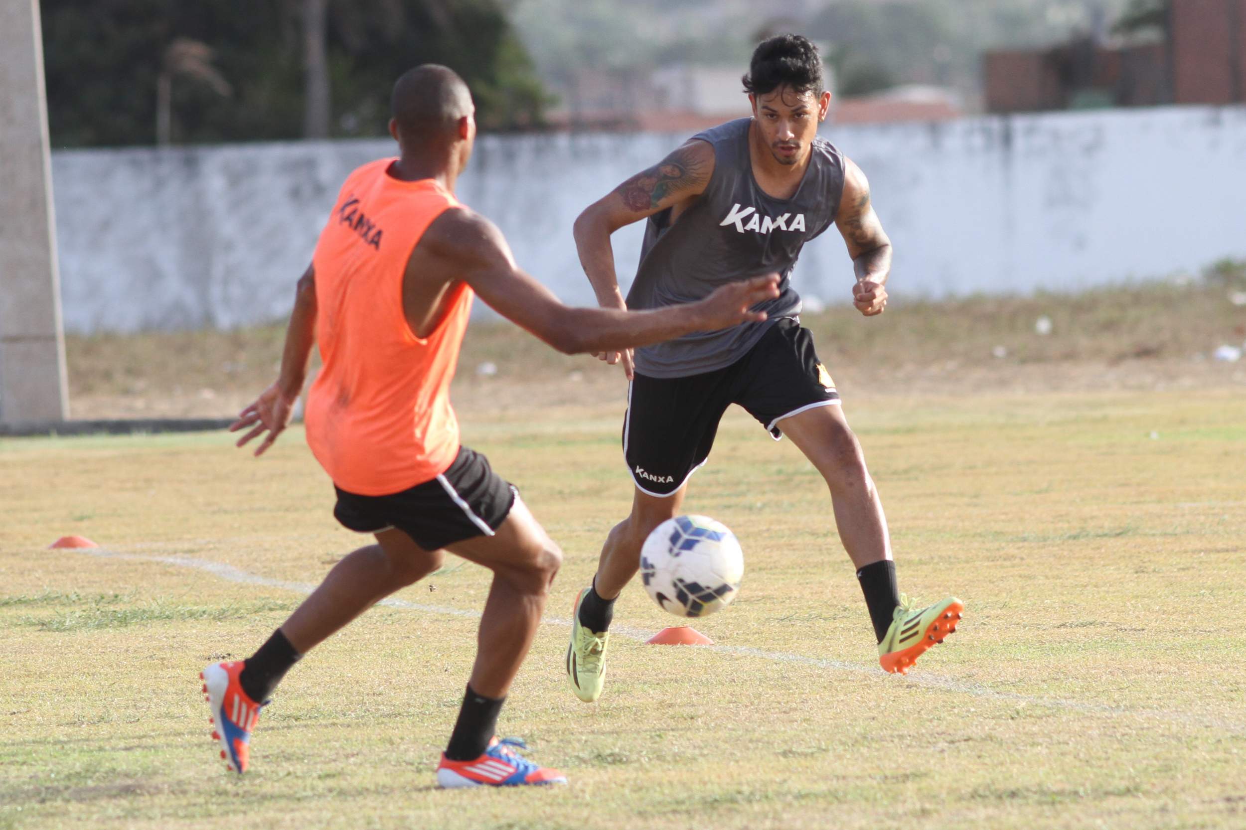 Tigre treina no Maranhão