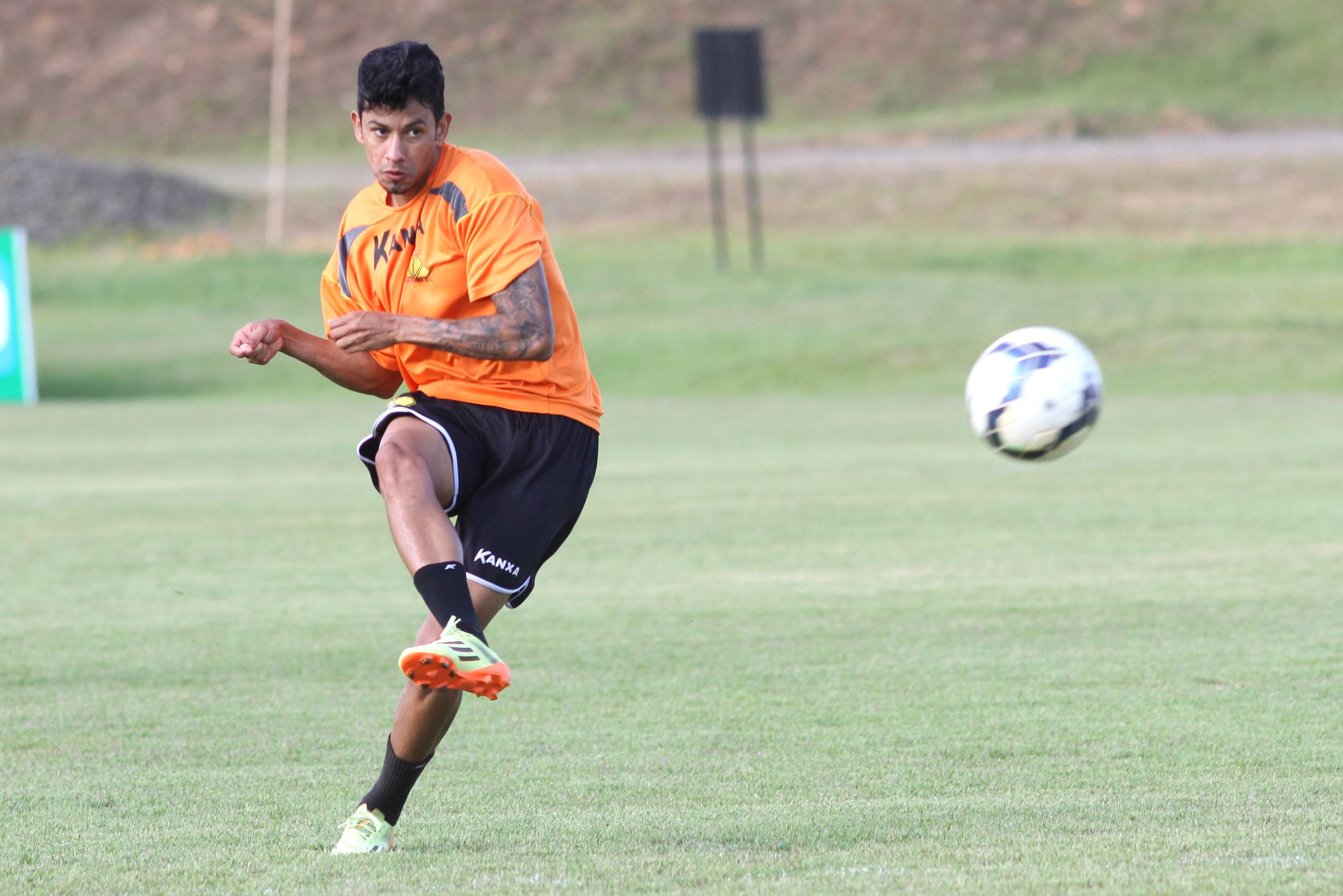 Tigre trabalha forte em dois períodos