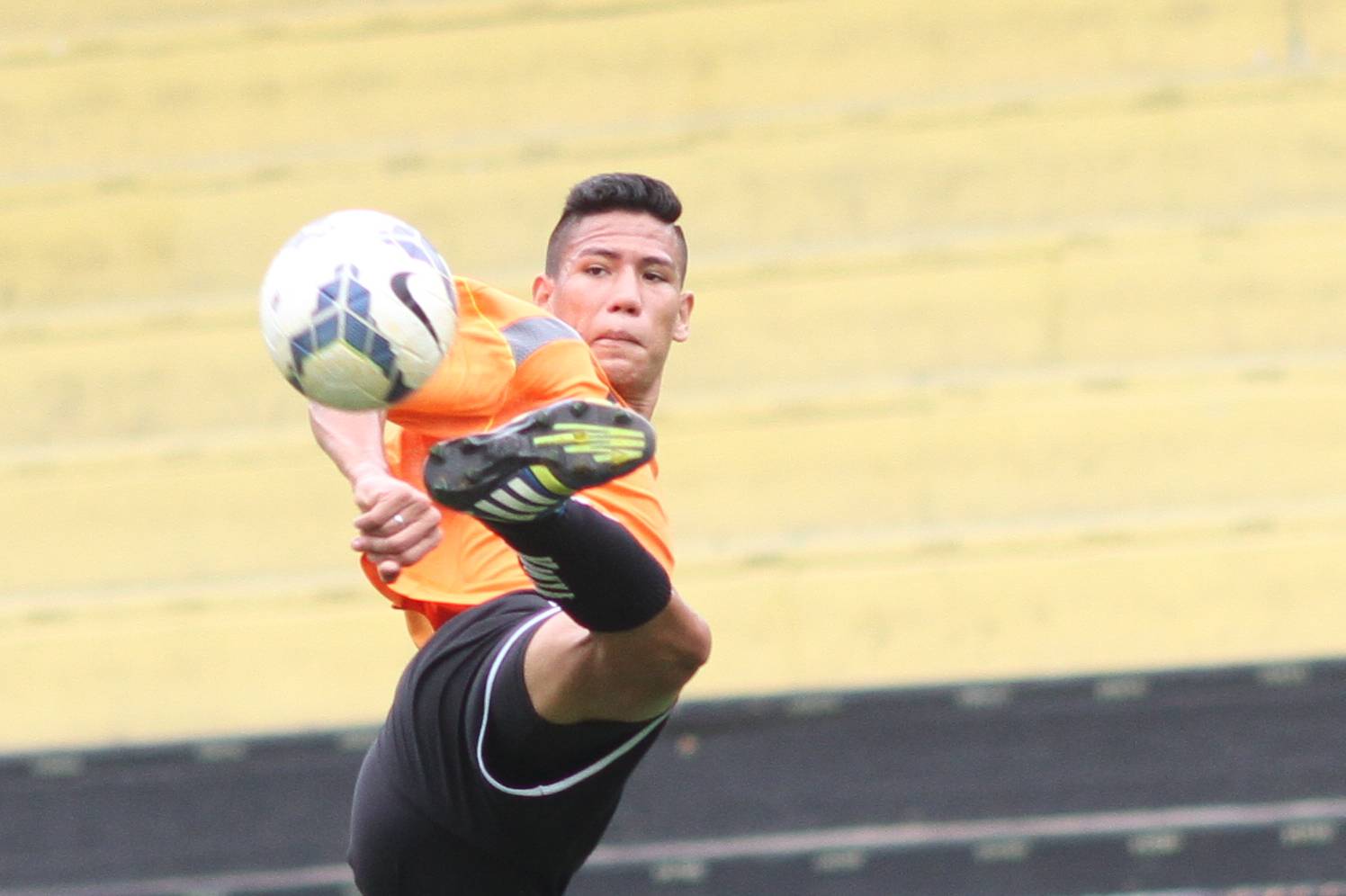 Tigre encara o Sport no Majestoso