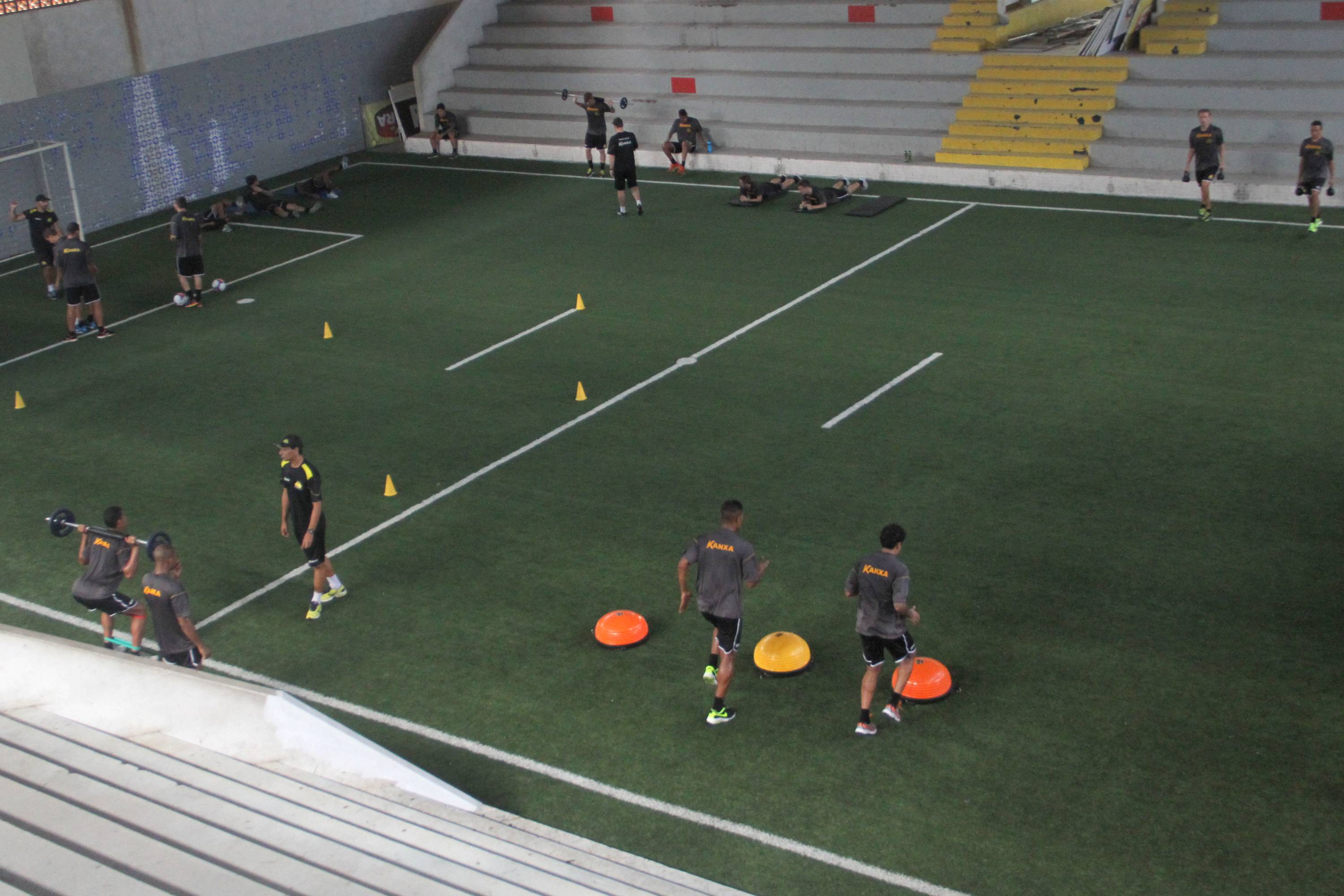Tigre faz treino de força em circuito