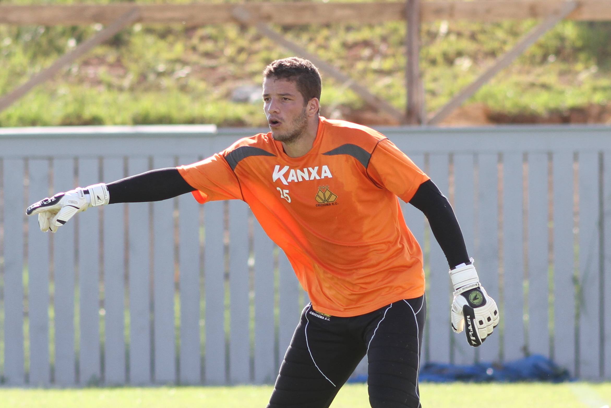 Tigre alia trabalhos físicos e técnicos