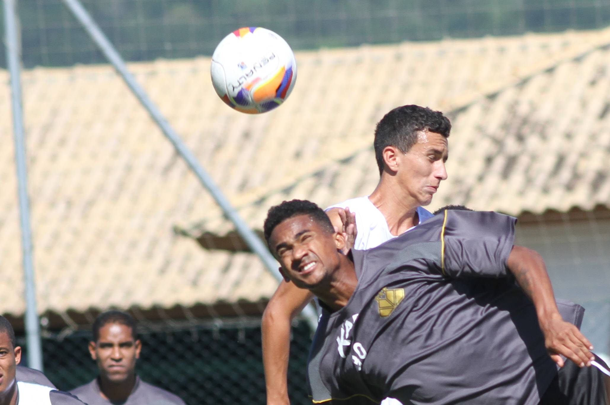 Tigre treina em Palhoça antes de viagem a Chapecó