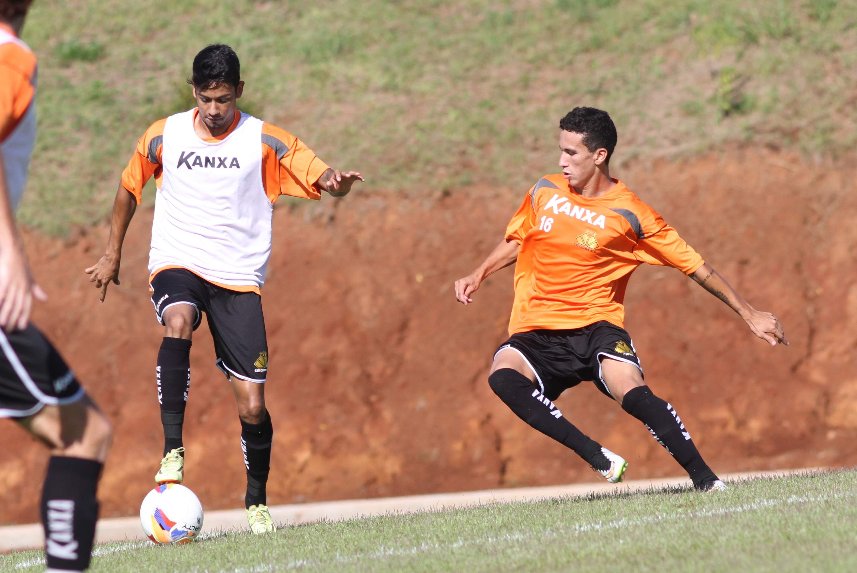 Tigre inicia preparação para duelo contra o Metropolitano