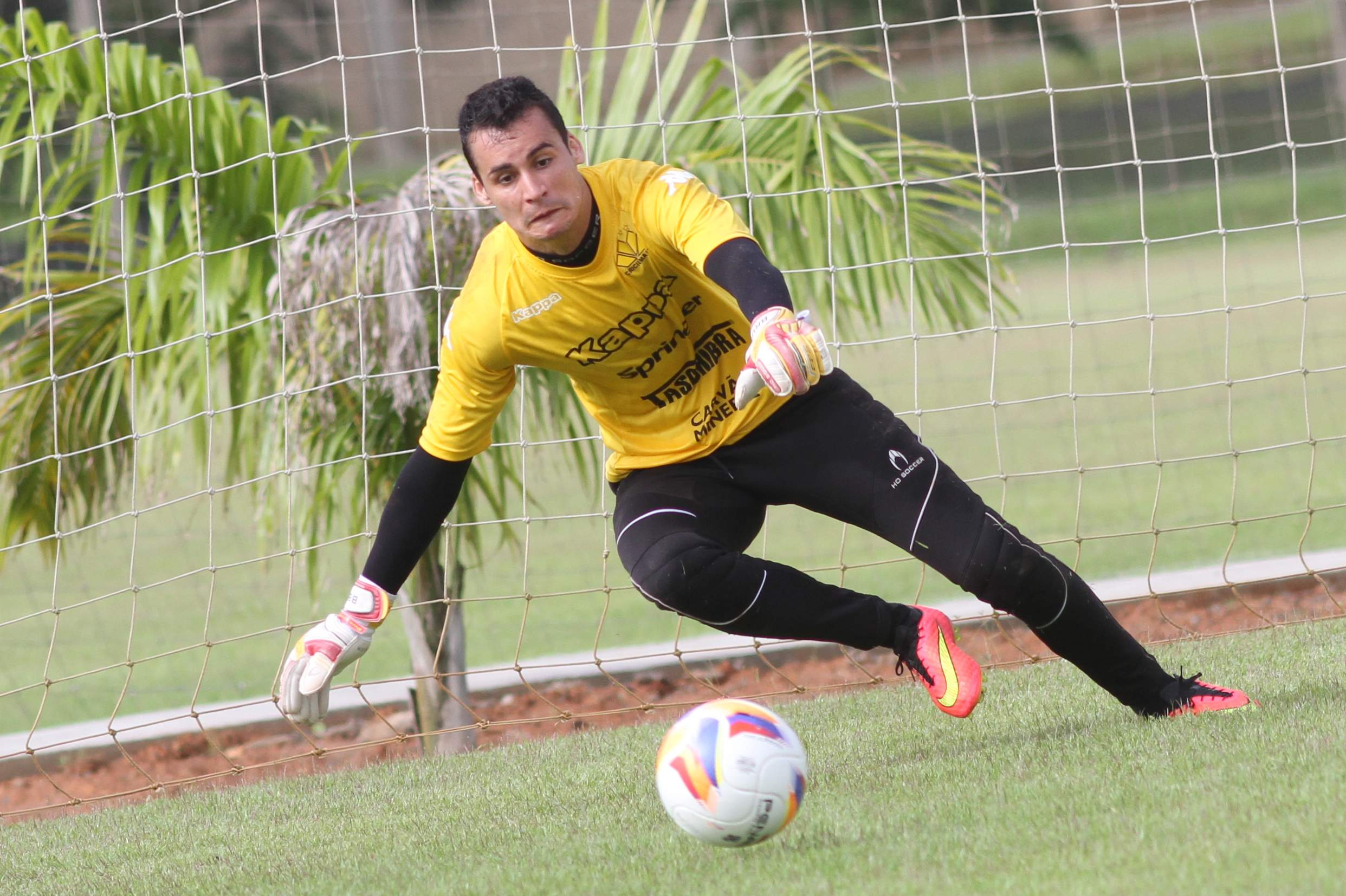 Tigre realiza trabalhos específicos no CT