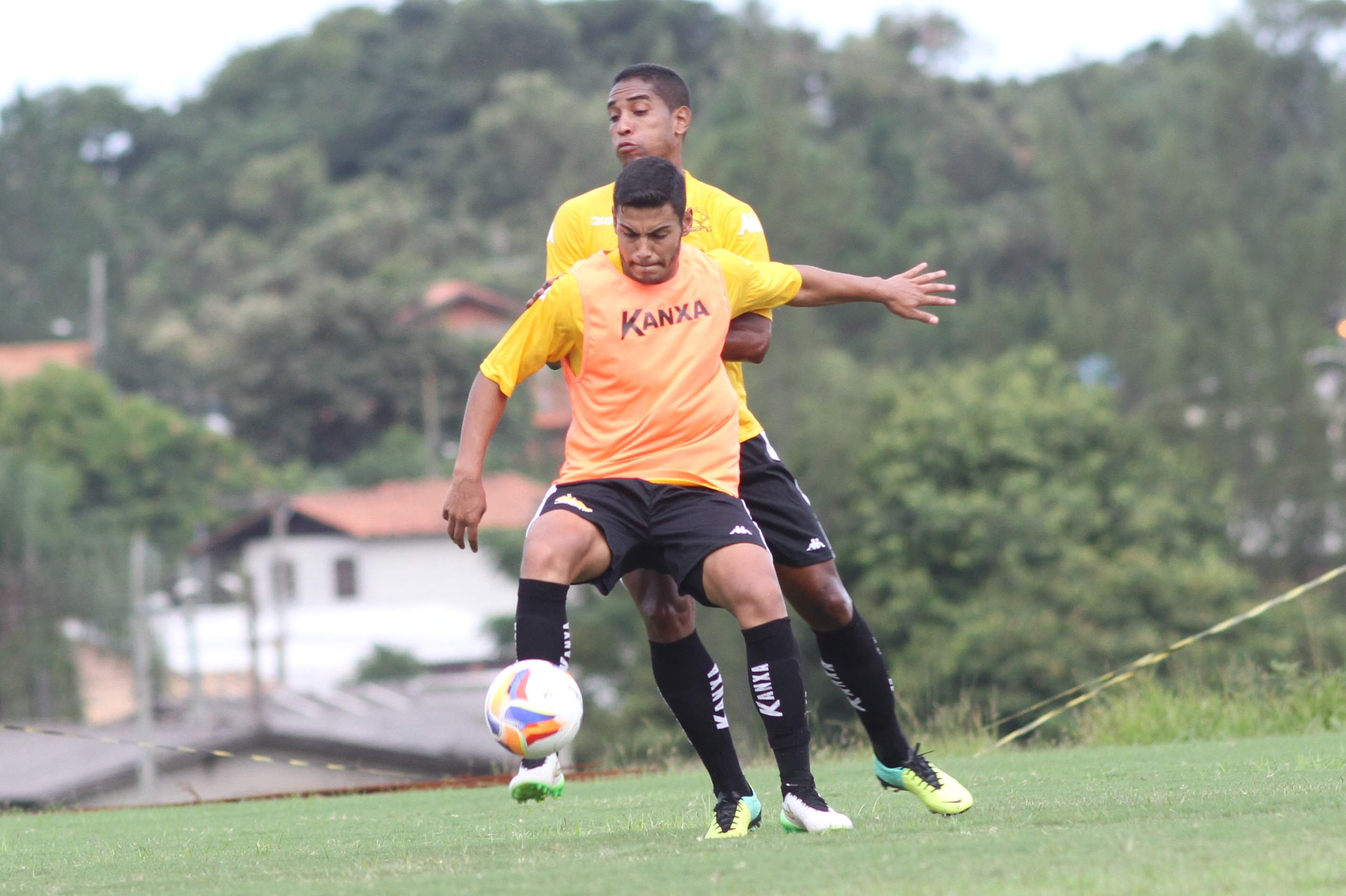 Tigre faz treinamento coletivo