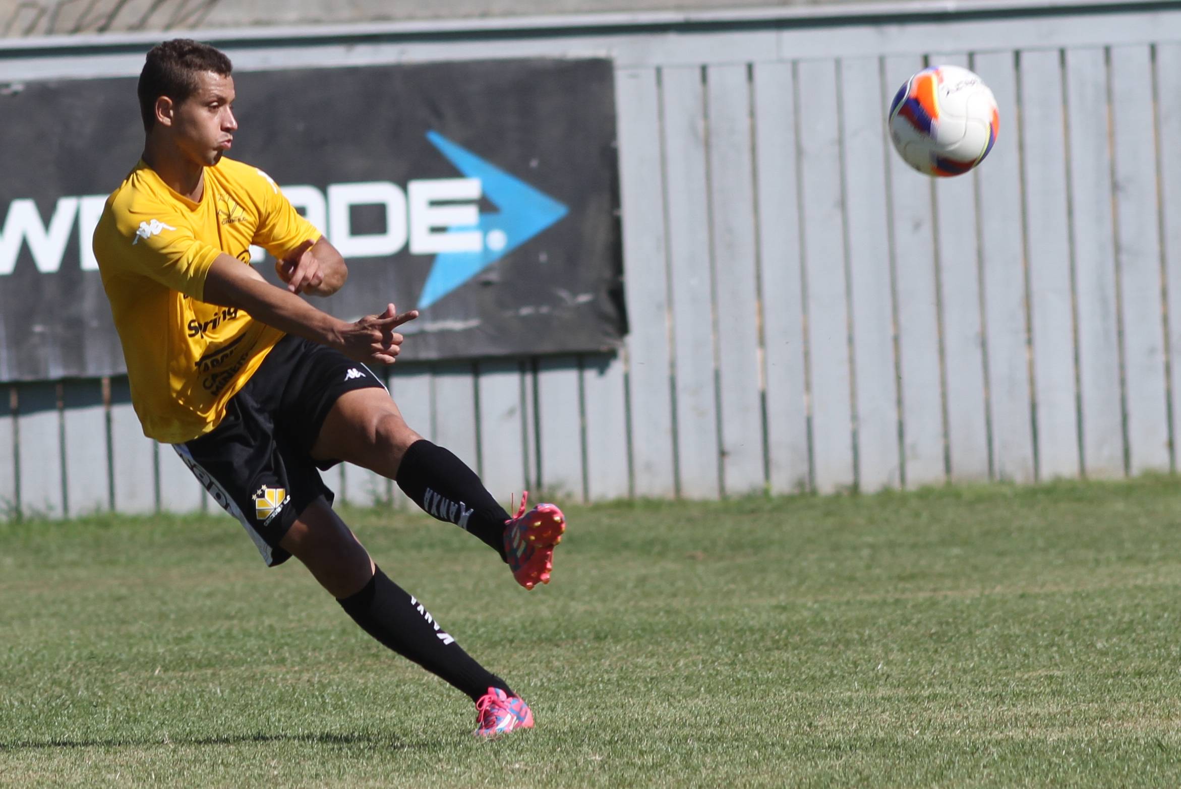 Tigre faz treinamento no CT