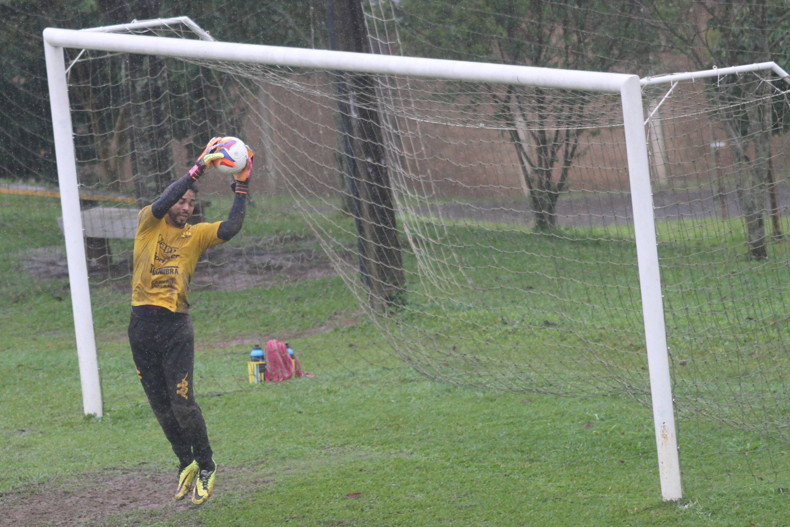 Tigre realiza trabalho de força no CT