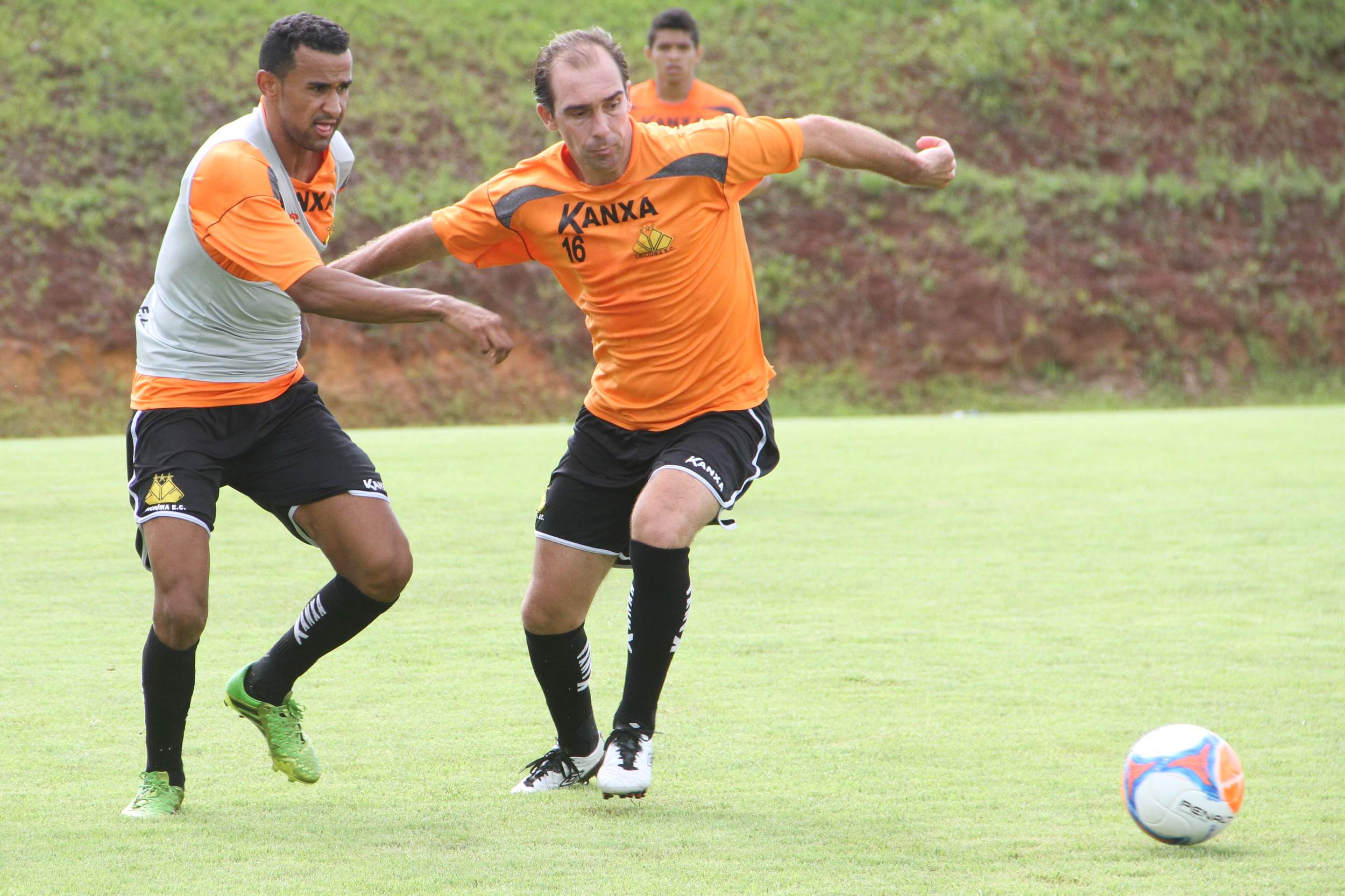 Tigre trabalha forte antes de jogo treino