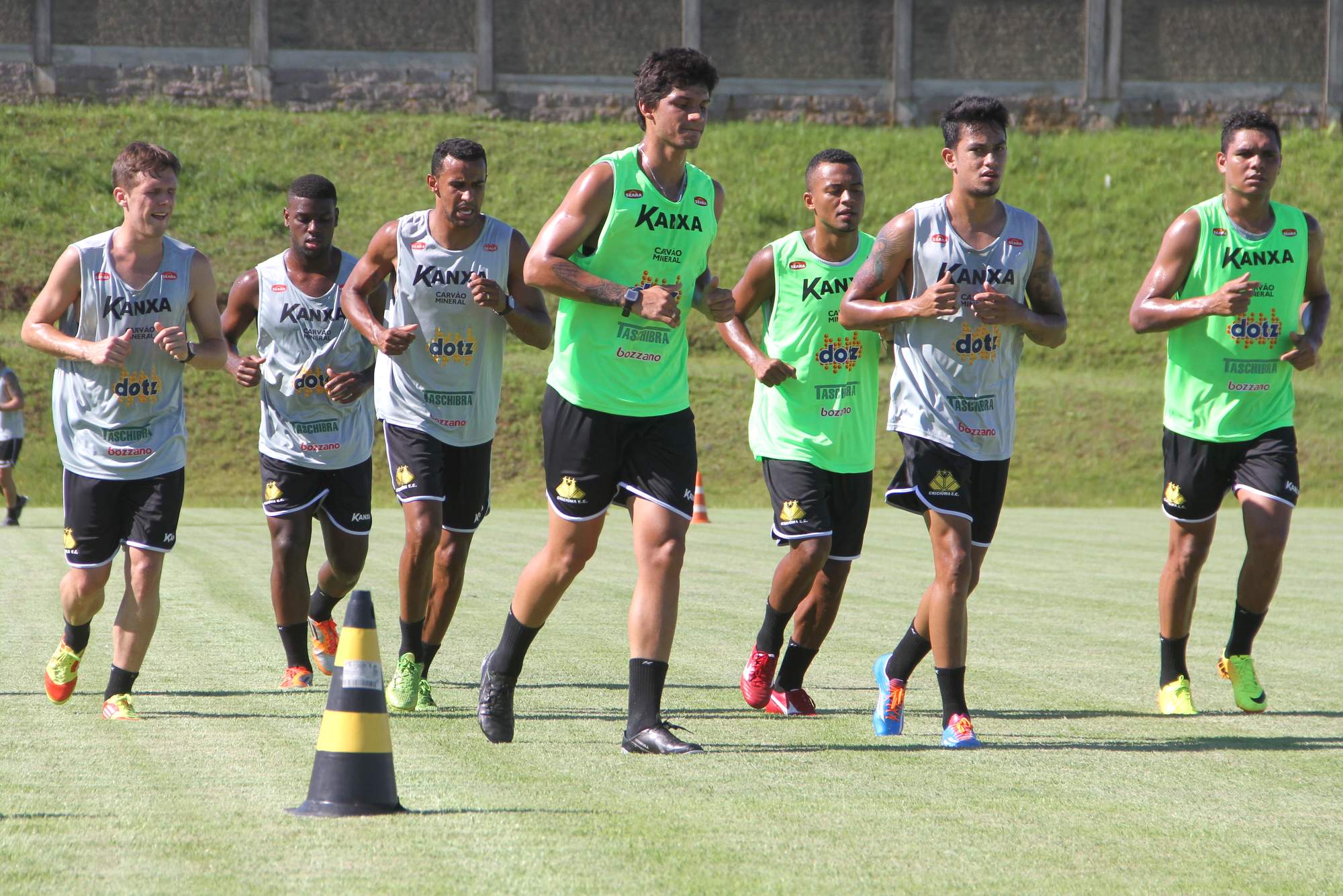 Tigre alia treino físico e técnico