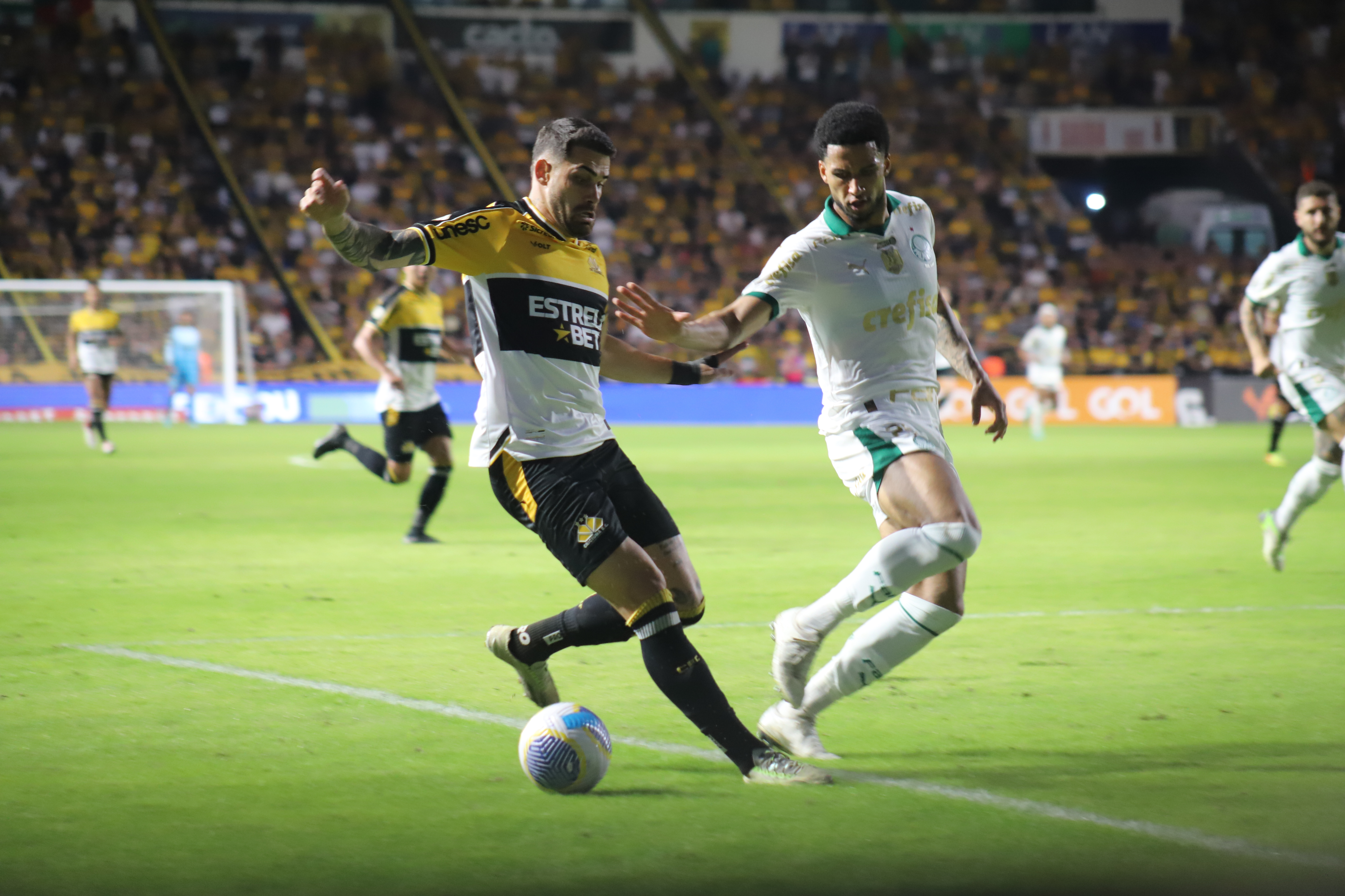 Fotos Criciúma x Palmeiras